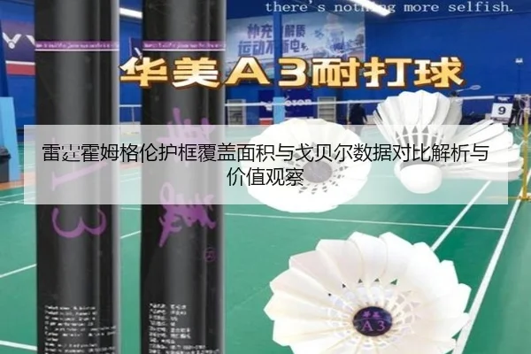雷霆霍姆格伦护框覆盖面积与戈贝尔数据对比解析与价值观察